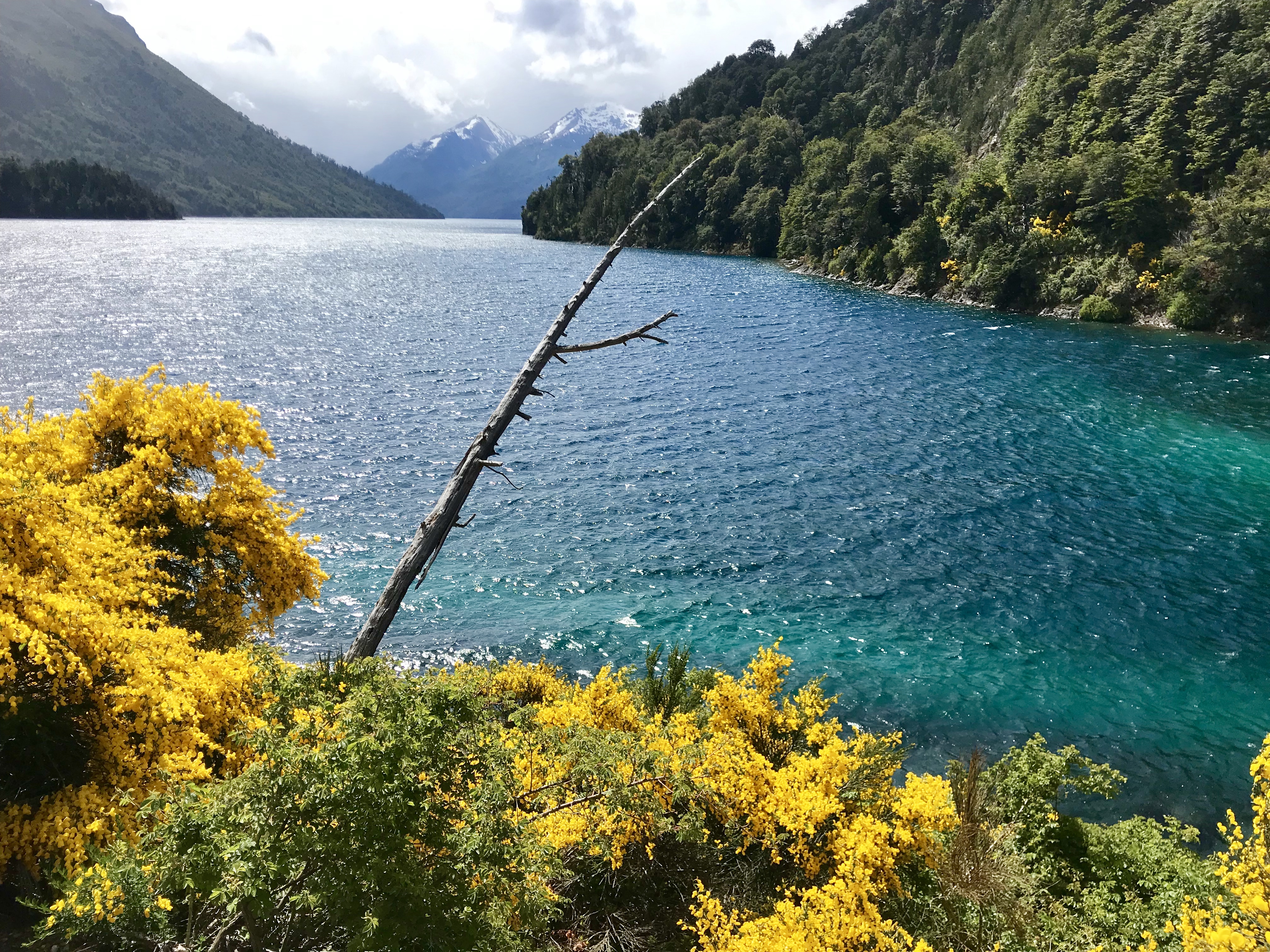 El viento oeste andino